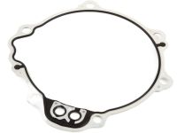 GM 24265798 Extension Housing Seal, Rear