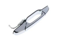 GM 84053434 Handle, Outside, Front Driver Side