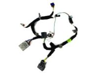 GM 25912292 Wire Harness, Front