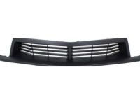 GM 22894223 Lower Grille, Front