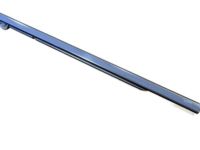 GM 23227744 Belt Weatherstrip, Rear Driver Side
