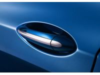 GM 84042538 Handle Kit, Door Outside Handle, Blue, Rear