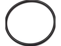 GM 97729991 Seal, Manifold To Cylinder Head