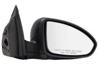 GM 95186710 Mirror Assembly, Black