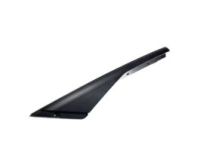 GM 15876380 Applique, Rear Passenger Side