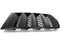 GM 22828242 Scoop, Black
