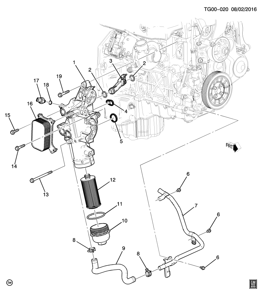 GM 55596731 Gasket, Engine Oil Filter