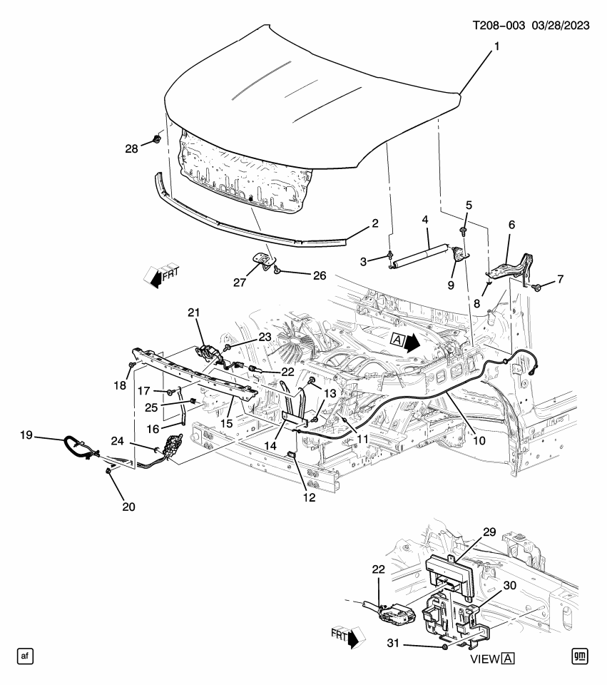 GM 84866939 Support, Lower Hood