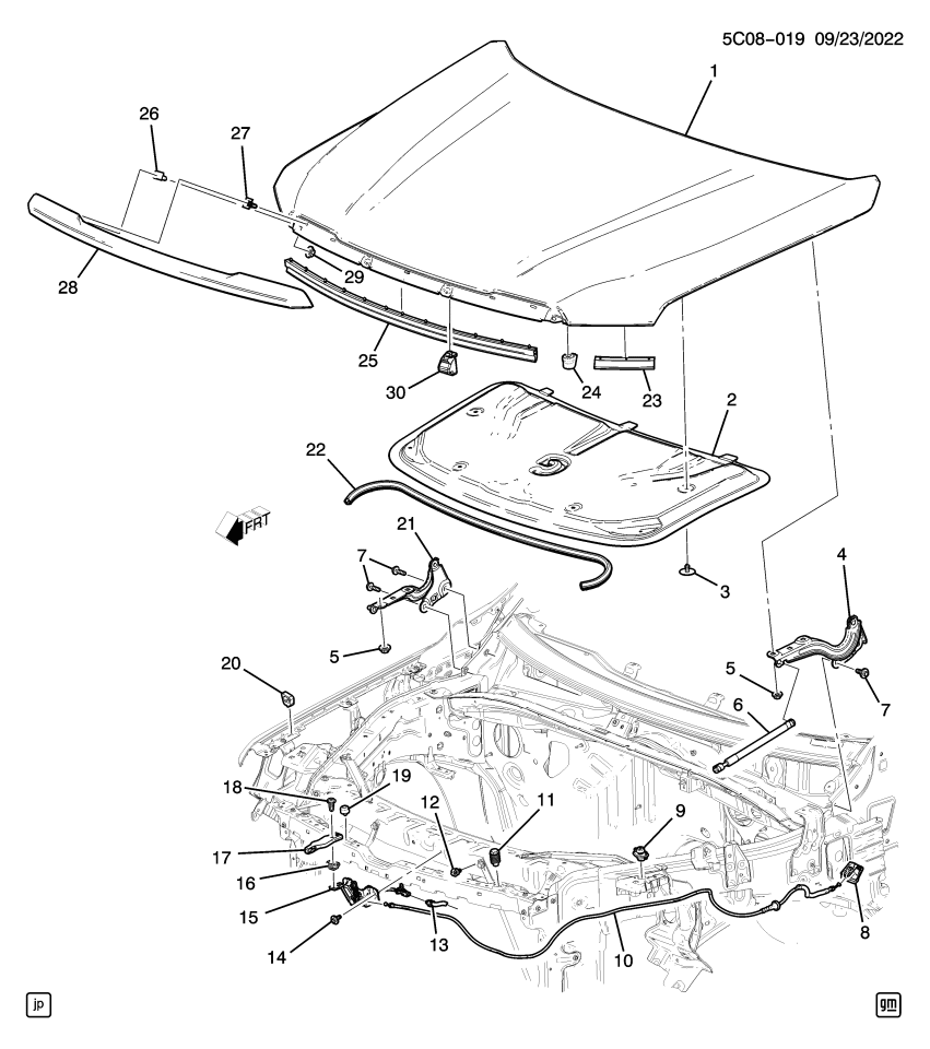 GM 84664530 Weatherstrip, Hood Panel
