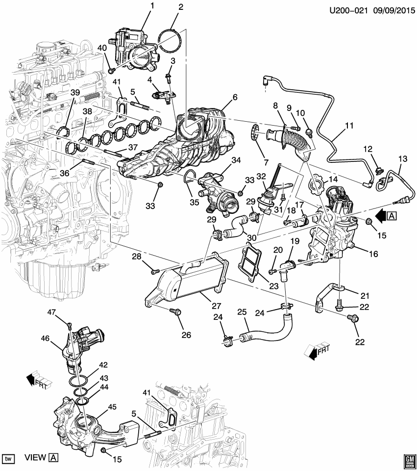 GM 55594609 Valve Kit, Emission Control System