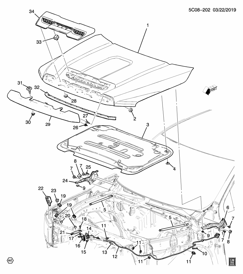 GM 11602409 Clip, Hood Latch