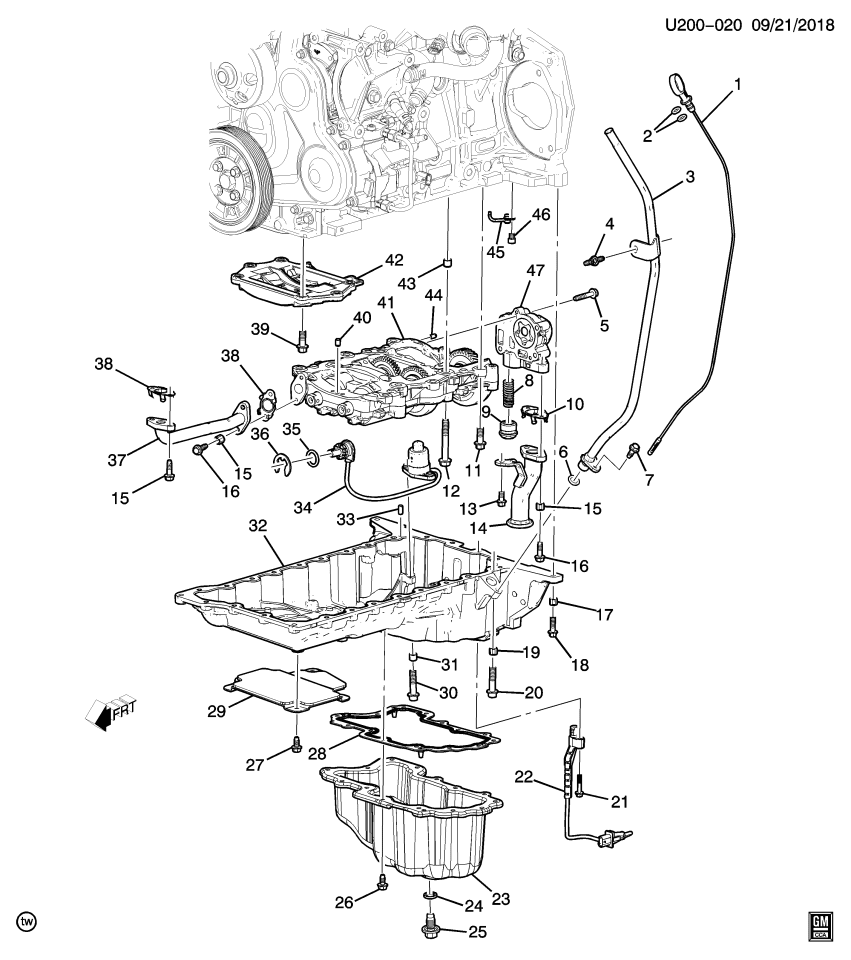 GM 55592307 Gasket, Engine Oil Pump