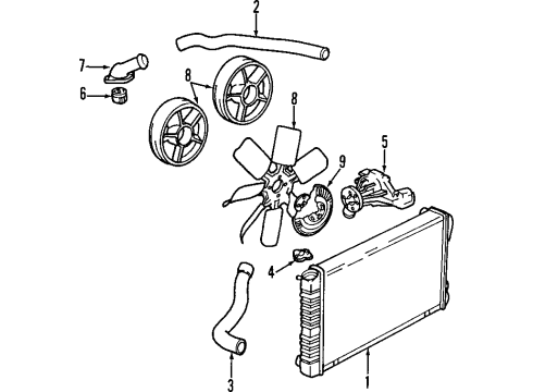 GM 10197619 Lower Hose