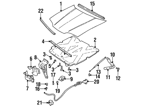 GM 10260895 Seal, Upper