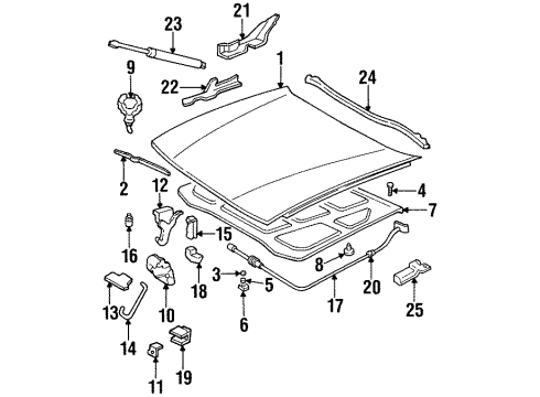 GM 25644009 Bumper Cover