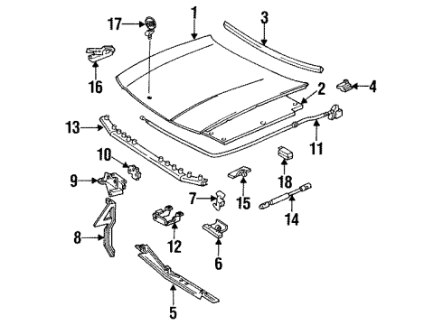 1994 Buick Commercial Chassis Hood & Components Diagram