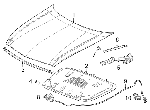 2023 Cadillac LYRIQ Hood & Components Diagram