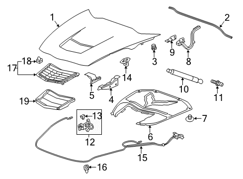 2017 Chevy Corvette Hood & Components Diagram