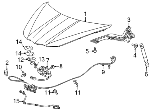 2022 Chevy Corvette Hood & Components Diagram