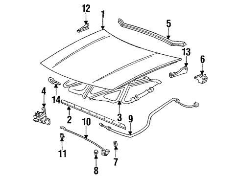 1994 Pontiac Grand Am Hood & Components Diagram