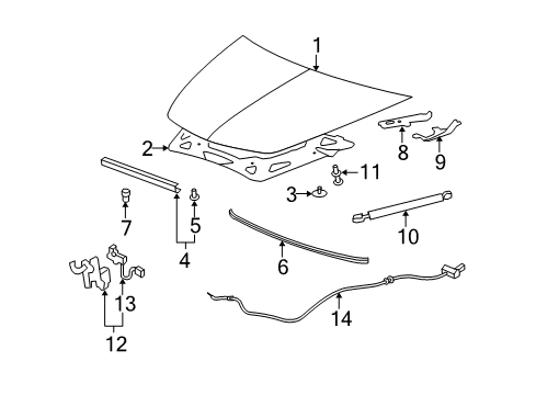 2012 Chevy Malibu Hood & Components Diagram
