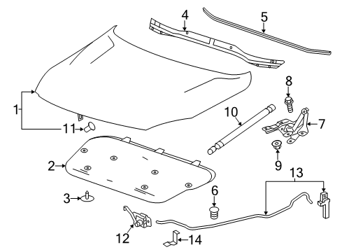 2015 Chevy Malibu Hood & Components Diagram