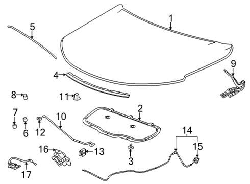 2024 Chevy Trailblazer Hood & Components Diagram