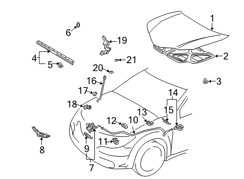 2004 Pontiac Vibe Hood & Components Diagram