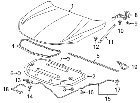2022 Chevy Blazer Hood & Components Diagram