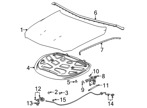 2022 Cadillac CT5 Hood & Components Diagram