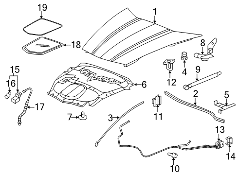 2008 Chevy Corvette Hood & Components Diagram