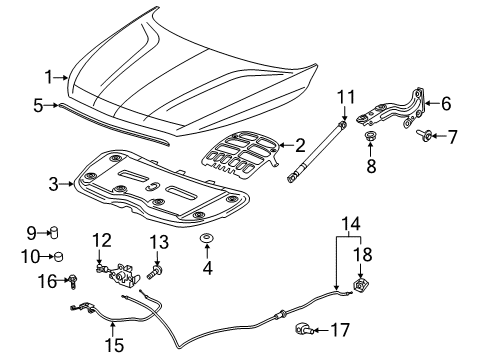 2022 Buick Enclave Hood & Components Diagram