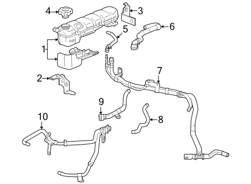 2023 Chevy Corvette Radiator Hoses Diagram