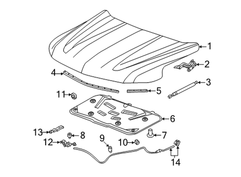 2022 Chevy Tahoe Hood & Components Diagram