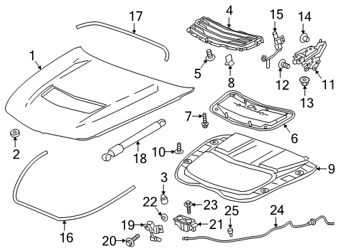2017 Cadillac CTS Hood & Components Diagram