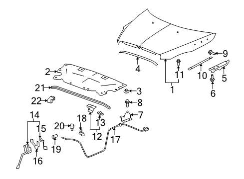 2012 Buick Enclave Hood & Components Diagram