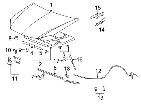 2008 Pontiac G5 Hood & Components Diagram
