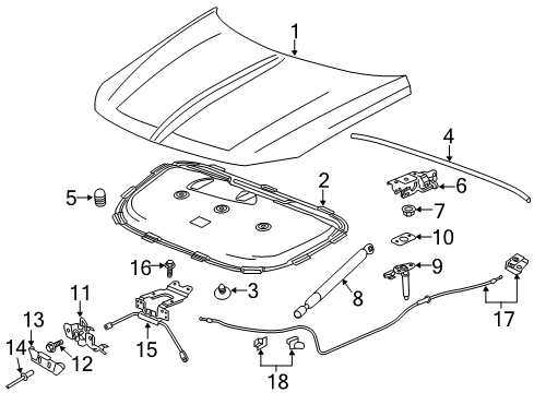 2020 Buick Regal TourX Hood & Components Diagram