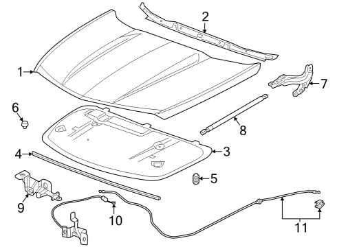2024 Cadillac XT4 Hood & Components Diagram