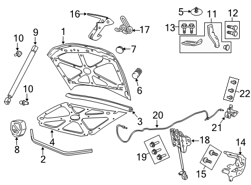 2009 Pontiac G8 Hood & Components Diagram
