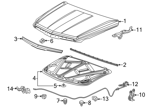 2020 Cadillac Escalade ESV Hood & Components Diagram