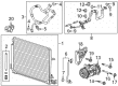 Chevy A/C Clutch Diagram - 84815640