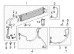Buick Automatic Transmission Oil Cooler Line Diagram - 22952310