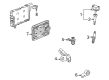 Chevy Ignition Coil Diagram - 55595166