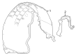 2023 Chevy Corvette Fender Splash Shield Diagram - 85521679