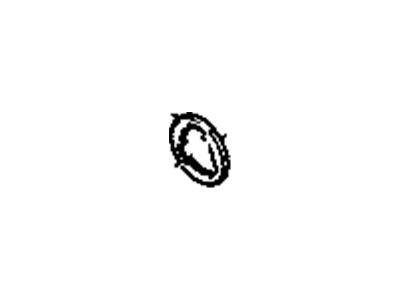 Chevy 369131 Pinion Shim