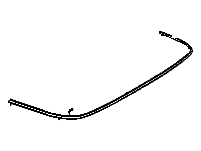 Pontiac 25606676 Outer Molding