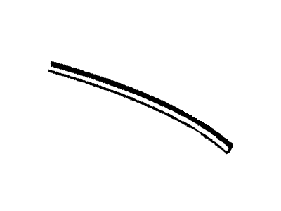 GM 10173043 Headliner Trim