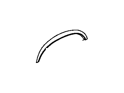 GM 10091166 Wheel Opening Molding, Front Passenger Side