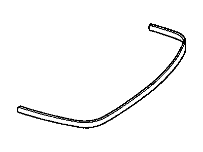 Chevy 22569577 Molding